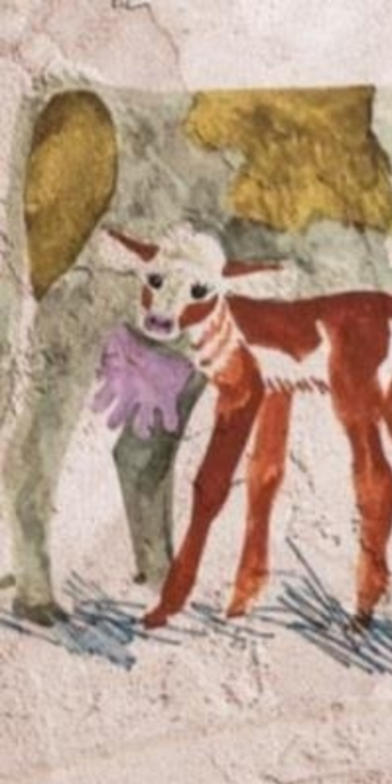 FELH�V�S: „�PERENCI�S”