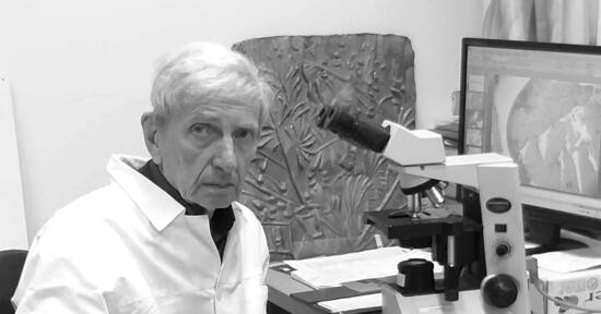 DR. GARZULY FERENC S�T�NY 
