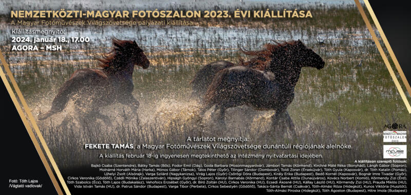 NEMZETK�ZTI-MAGYAR FOT�SZALON 2023. �VI KI�LL�T�SA