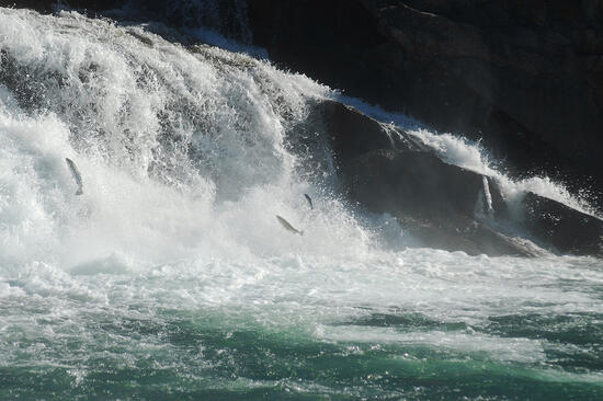 VIL�GJ�R�K K�RMEND: FJORDOK K�Z�TT - NORV�GIA, AHOGY EGY FOT�S L�TJA