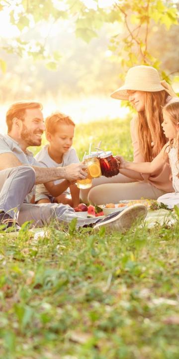 ZENS CSALDI PIKNIK