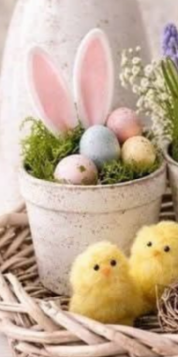 K�ZM�VES KUCK�